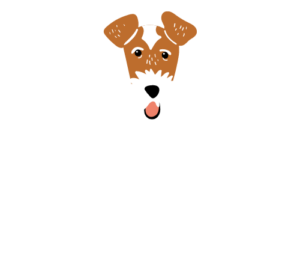 Petsitting braga